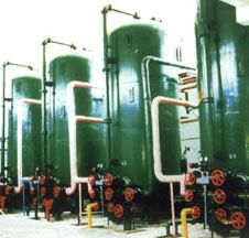 Anion/cation mixed ion exchanger